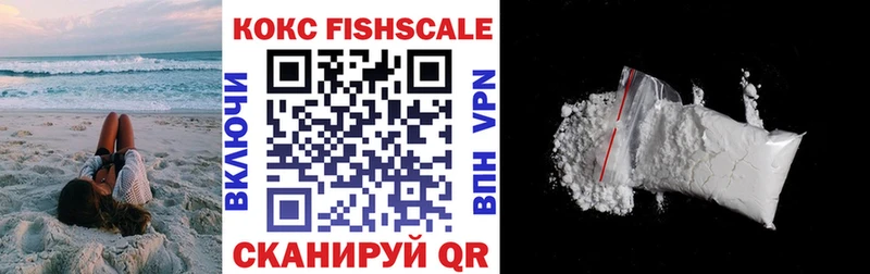 COCAIN Fish Scale  закладки  Щёкино 