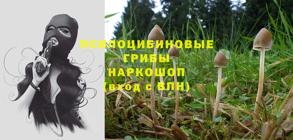 твердый Абдулино