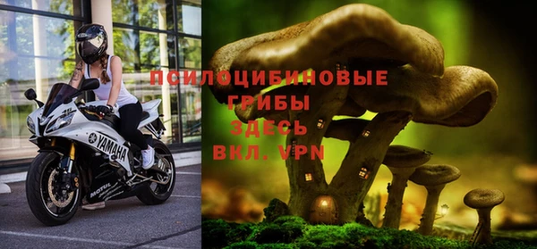круглые Абаза